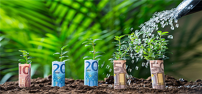 d8f8642de1745ef014fcf4a55c8704def7c5787111dacb-rVrkig_fw658